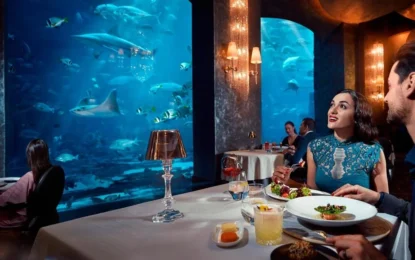 Must-Visit Under the Sea Restaurants In and Around Dubai That Are Not To Be Missed