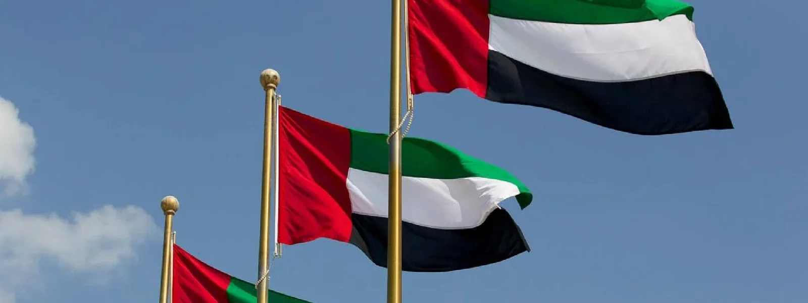 1720014156Emirati-Nationality-Law_-Everything-You-Need-to-Know › Forever Tourism LLC