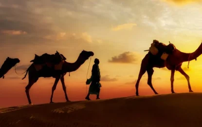 Ready for an Epic Adventure? Camel Riding in Dubai Is Calling Your Name!
