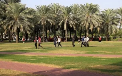 Tired of Costly Kids Activities? Check Out These Free Parks and Movies in Dubai!