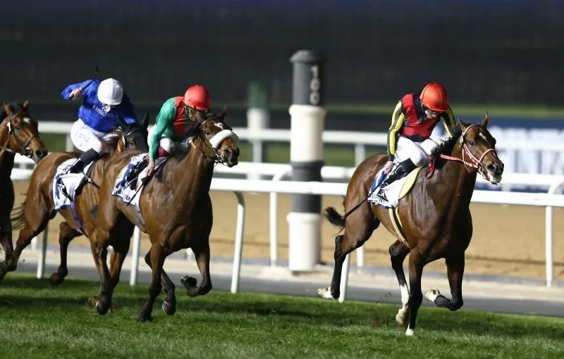 17264787901538571153476 › Forever Tourism LLC