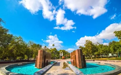 Explore Dubai’s Hidden Green Oasis: A Complete Guide to Mushrif Park
