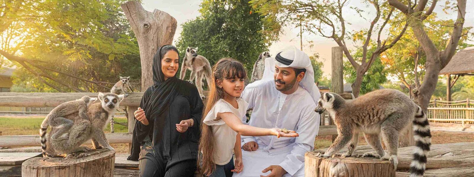 Witness the Wild Wonders at Dubai Safari Park! › Forever Tourism LLC Visitors enjoying a wildlife adventure at Dubai Safari Park, with details on Dubai Safari Park timings and Dubai Safari Park tickets for an unforgettable experience.