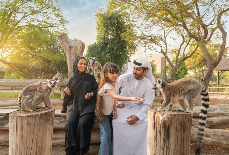 Visitors enjoying a wildlife adventure at Dubai Safari Park, with details on Dubai Safari Park timings and Dubai Safari Park tickets for an unforgettable experience.