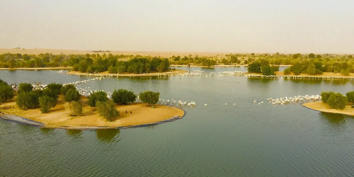 5 Unmissable Ways to Chill at Al Qudra Lake › Forever Tourism LLC
