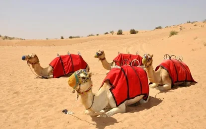 Enchanting Desert Getaways You Cannot Miss in the UAE