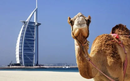 Top 9 Must-See Desert Vacation Spots in the UAE