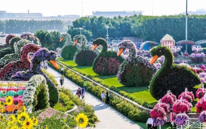 Dubai Miracle Garden: Skip the Line & Enjoy More