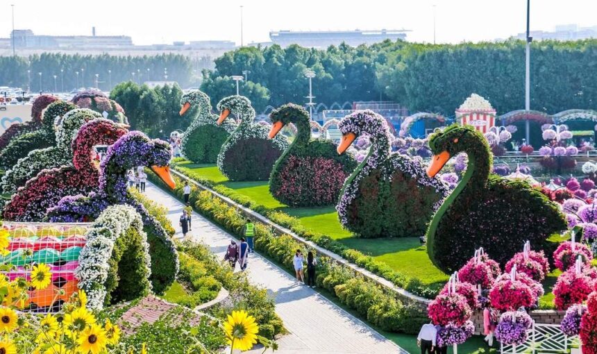 Dubai Miracle Garden: Skip the Line & Enjoy More