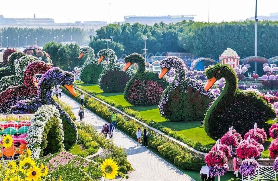 Colorful floral arches and vibrant flower arrangements at Miracle Garden Dubai. Get your Miracle Garden ticket now and explore the beauty of Dubai Miracle Garden in full bloom.