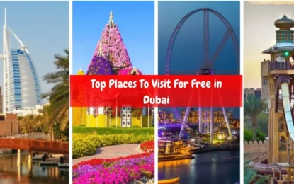 Dubai on a Budget: These Free Activities Will Blow Your Mind! [2024 Updated]