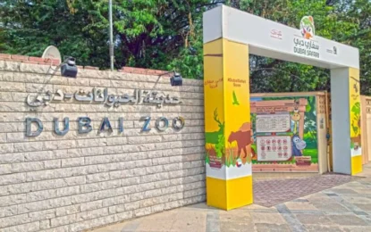 From Exotic Animals to Stunning Aquariums: The 7 Best Spots in Dubai!
