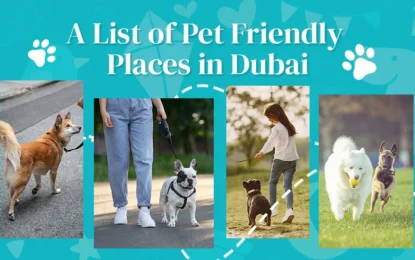 Pet Friendly Places In Dubai