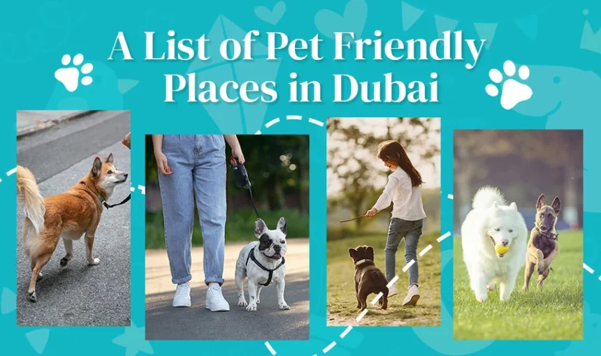Pet Friendly Places In Dubai