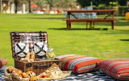 Places To Enjoy A Family Picnic In The Winter Season In Dubai