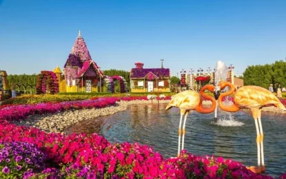 Explore the Green Side of Dubai: 8 Eco-Friendly Attractions You Can’t Miss!