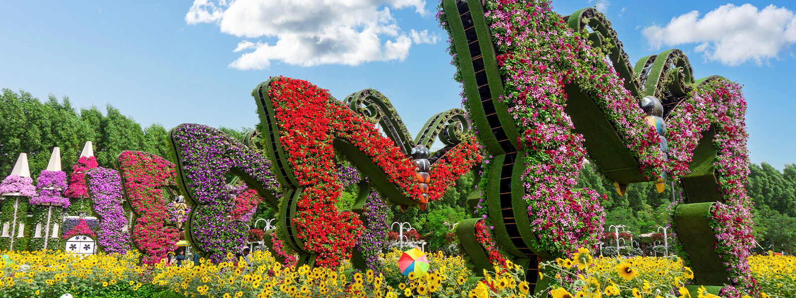 Butterfly Garden Dubai with visitors exploring lush greenery and colorful butterflies – includes info on entry fee, timings, and ticket price.