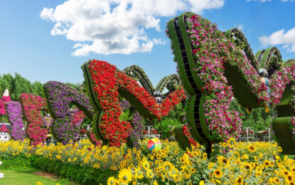 Butterfly Garden Dubai with visitors exploring lush greenery and colorful butterflies – includes info on entry fee, timings, and ticket price.