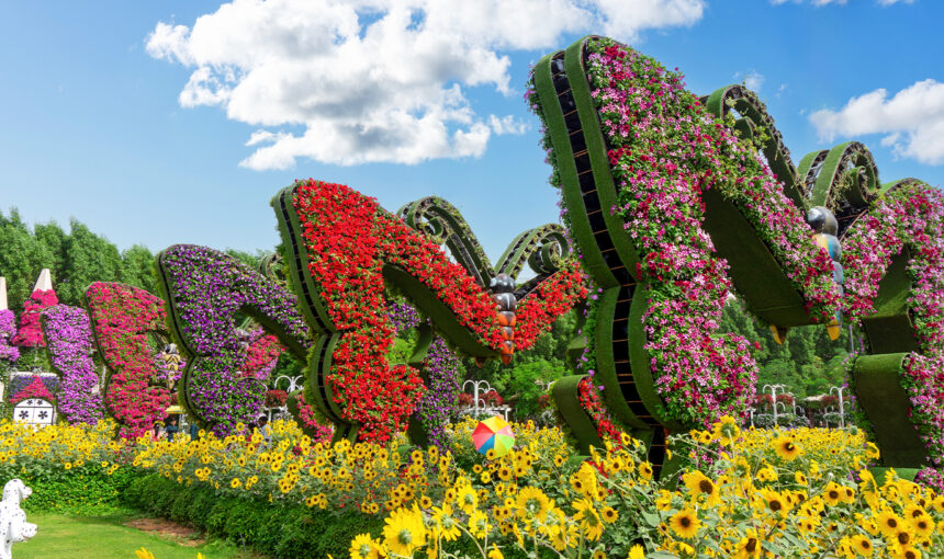 Butterfly Garden Dubai 2025: A Dreamy Day Out!