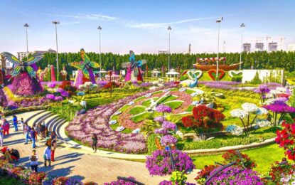 Colorful floral displays at Miracle Garden showcasing peak beauty during official opening hours before the 2025 closing date.