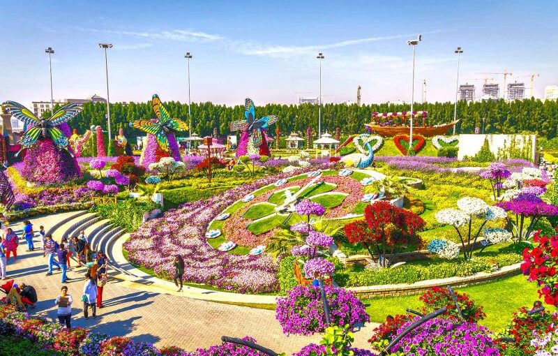 Miracle Garden 2025: Blooms You’ve Never Seen!