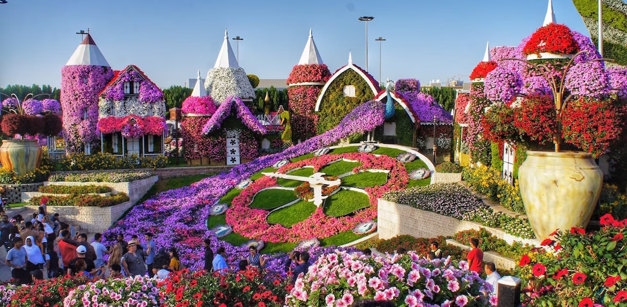 Discover the stunning beauty of Dubai Miracle Garden. Learn about Miracle Garden timings and make sure you visit this vibrant garden at the right time.