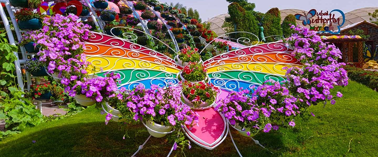 Inside view of Butterfly Garden Dubai with vibrant butterflies and tropical plants, highlighting updated entry fee details and current visiting timings.