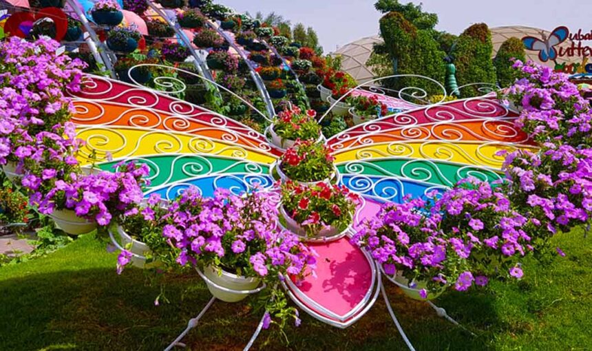 Inside view of Butterfly Garden Dubai with vibrant butterflies and tropical plants, highlighting updated entry fee details and current visiting timings.