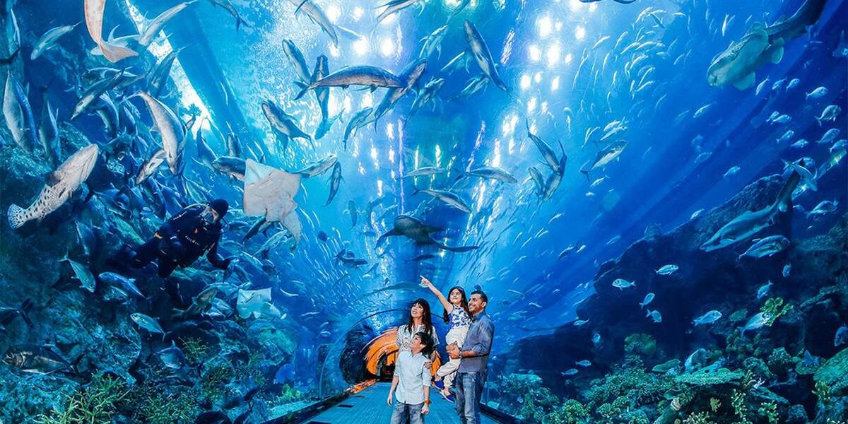 Visitors exploring the massive tank at Dubai Aquarium & Underwater Zoo, showcasing marine life, with information on Dubai Aquarium timings and ticket options.