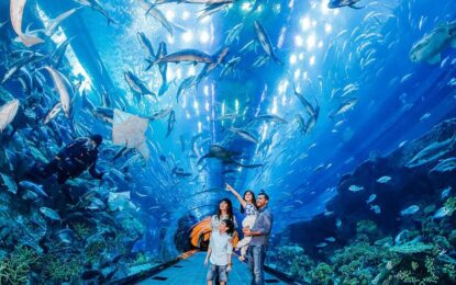 Visitors exploring the massive tank at Dubai Aquarium & Underwater Zoo, showcasing marine life, with information on Dubai Aquarium timings and ticket options.