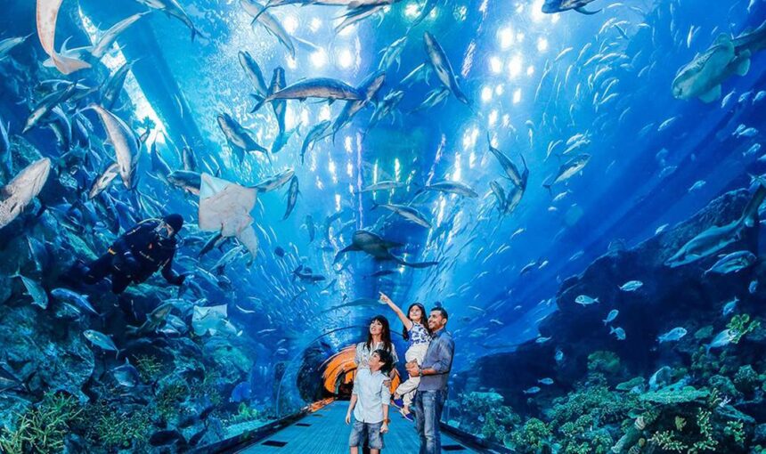 Dubai Aquarium & Underwater Zoo: 2025 Family Fun