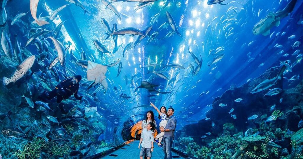 Discover incredible marine life at Dubai Aquarium & Underwater Zoo – Book your Dubai Aquarium & Underwater Zoo tickets today!