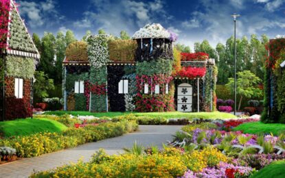 Dubai Miracle Garden with vibrant flowers, featuring the Miracle Garden ticket and countdown to the miracle garden closing date 2025.