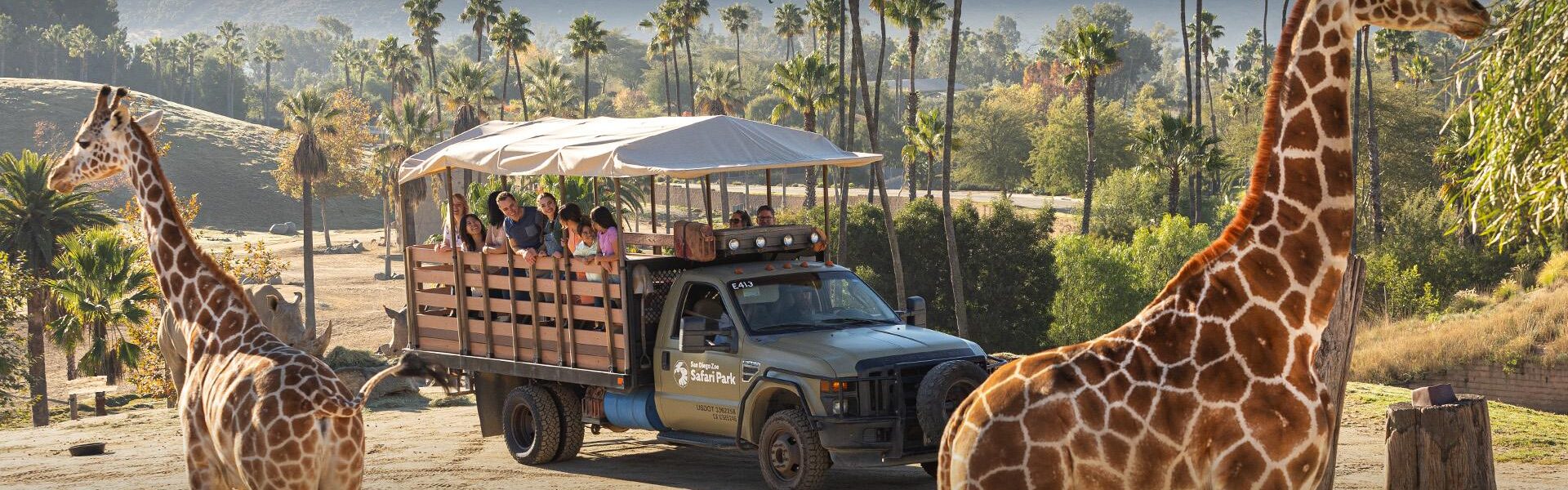 A breathtaking view of Safari Park in Dubai, featuring exotic animals, lush greenery, and adventure-filled landscapes. Book your Dubai Safari Park Tickets now!