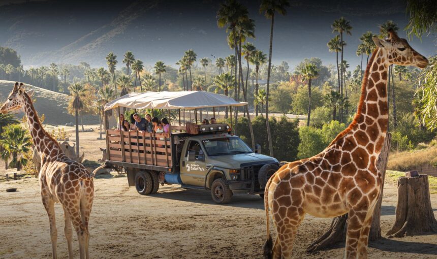 Safari Park Tickets 2025 – Your Next Wild Adventure!