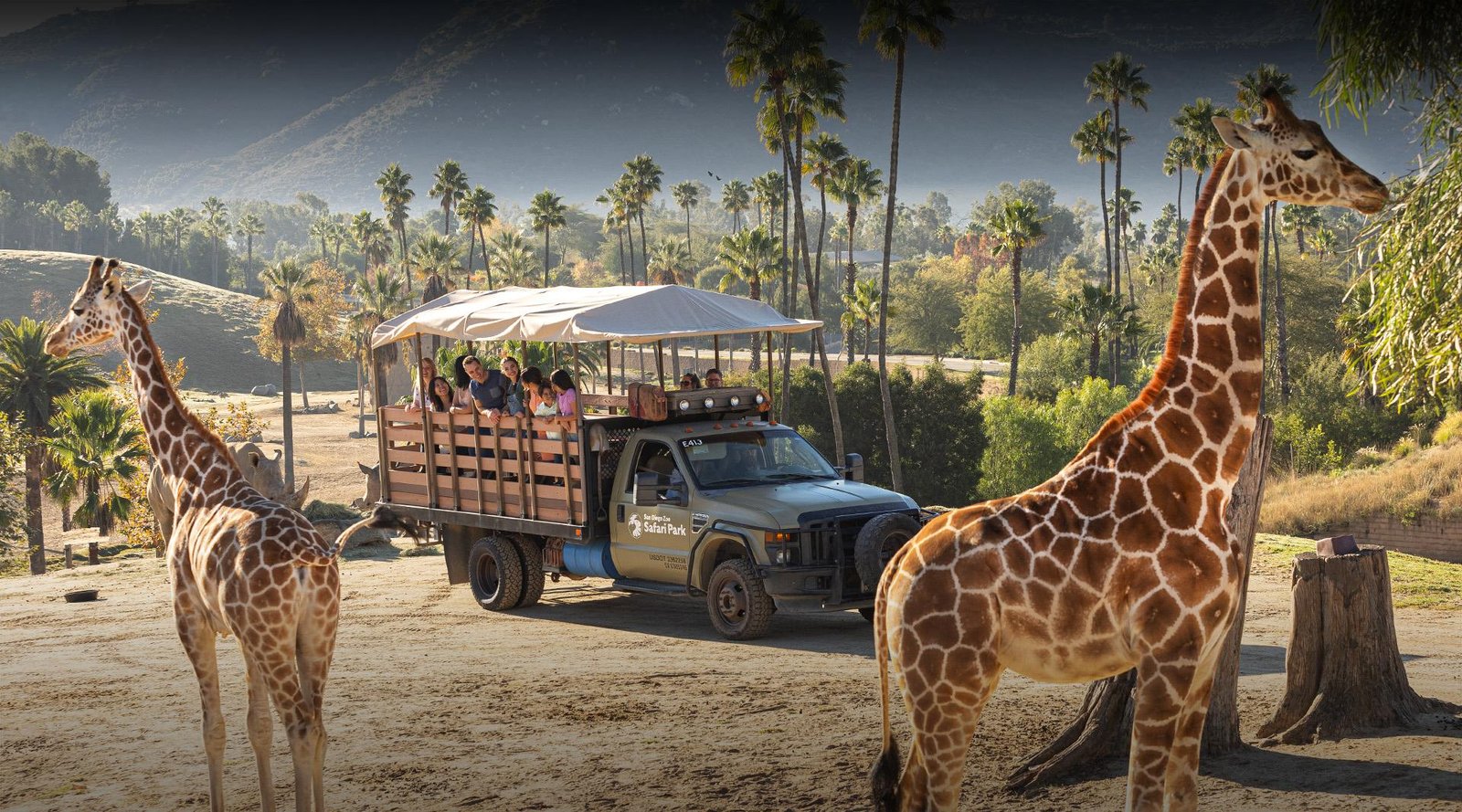 A breathtaking view of Safari Park in Dubai, featuring exotic animals, lush greenery, and adventure-filled landscapes. Book your Dubai Safari Park Tickets now!