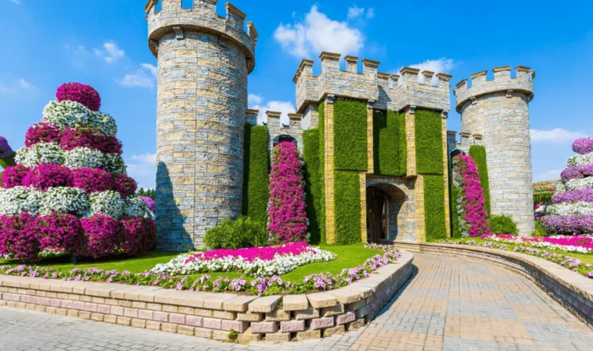 Dubai Miracle Garden: A Floral Wonderland in the Desert › Forever Tourism LLC Dubai Miracle Garden with vibrant flower displays – Find Miracle Garden ticket details, entrance fees, opening months, working hours, and the 2025 closing date.