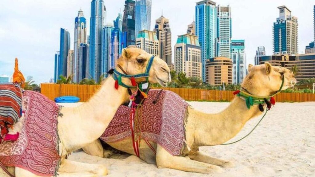 WELCOME TO FOREVER TOURISM LLC One Stop Solution For Dubai Tours, Visas & Holiday Packages