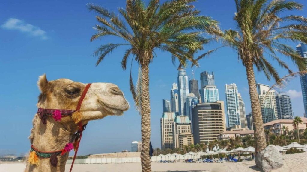 WELCOME TO FOREVER TOURISM LLC One Stop Solution For Dubai Tours, Visas & Holiday Packages
