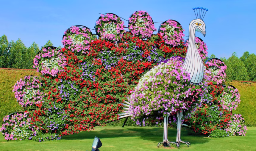 Miracle Garden Ticket for Spring 2025 – Book Now!