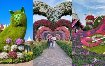 Miracle Garden Dubai Closing Date 2025 is Near – Visit Now!