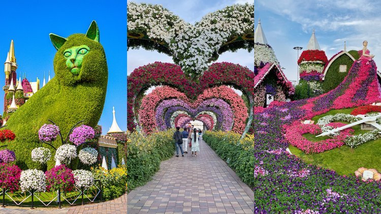 Miracle Garden Dubai closing date 2025 is near. Don't miss your chance to visit Dubai Miracle Garden—book your Miracle Garden ticket today!