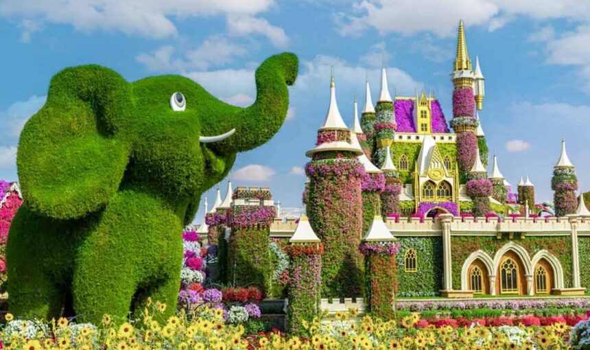 Dubai Miracle Garden 2025 – Must-Visit in Full Bloom!