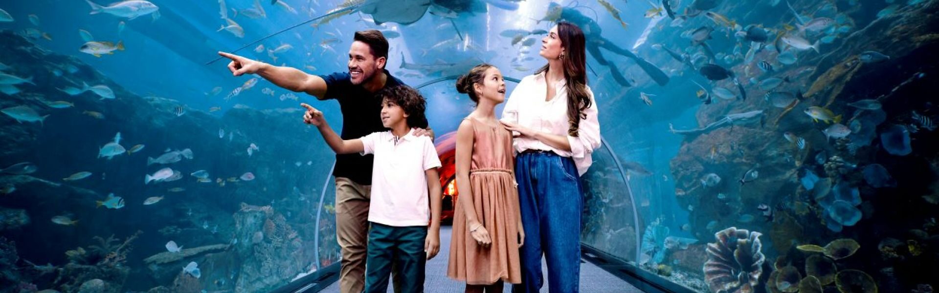 Dubai Aquarium & Underwater Zoo interior view showing marine life, with information on ticket price, timings, and ticket booking options.