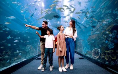 Dubai Aquarium & Underwater Zoo interior view showing marine life, with information on ticket price, timings, and ticket booking options.