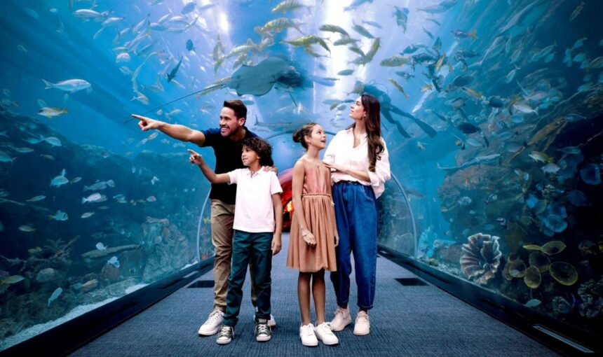 Dubai Aquarium & Underwater Zoo interior view showing marine life, with information on ticket price, timings, and ticket booking options.
