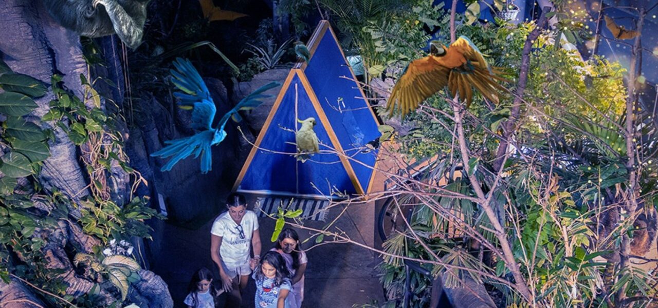 Interior view of The Green Planet Dubai showcasing tropical rainforest habitat with updated visitor timings and exotic wildlife.