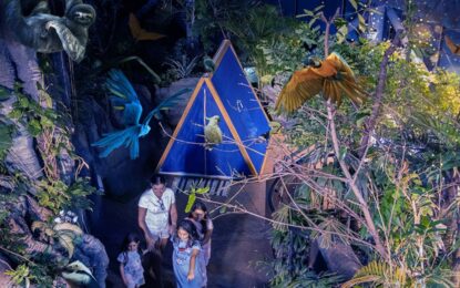 Interior view of The Green Planet Dubai showcasing tropical rainforest habitat with updated visitor timings and exotic wildlife.
