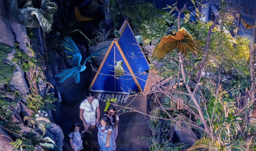 Interior view of The Green Planet Dubai showcasing tropical rainforest habitat with updated visitor timings and exotic wildlife.