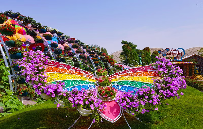 Butterfly Garden Dubai Overview – Book Your Visit Today!